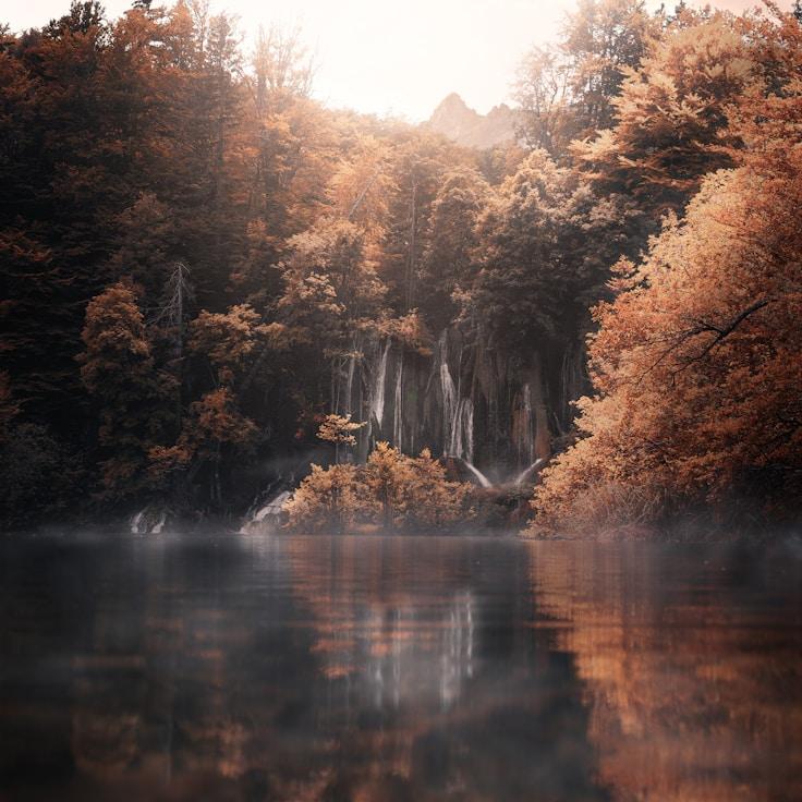 Nature travel hero image